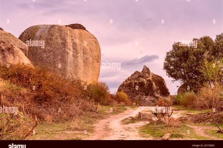 escort Malpartida de Caceres