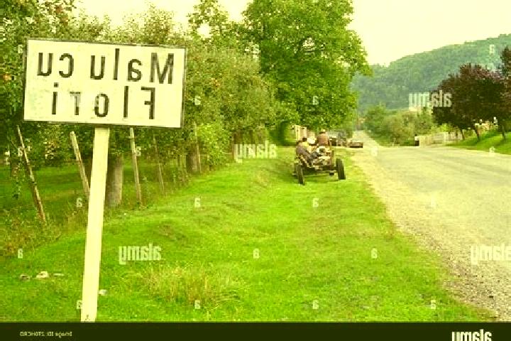 escort Malu cu Flori