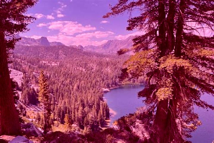 escort Mammoth Lakes