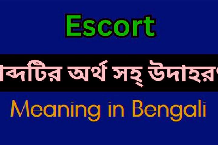 escort Mane