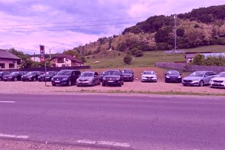 escort Manesti