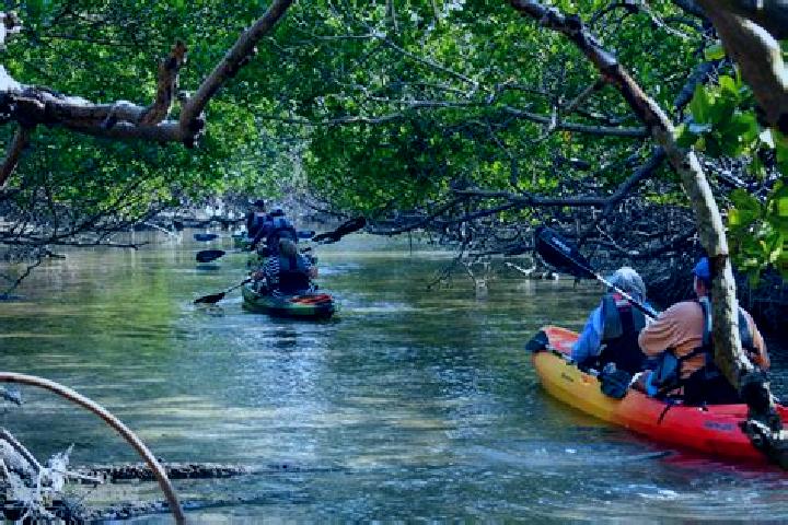 escort Mangrove Bay