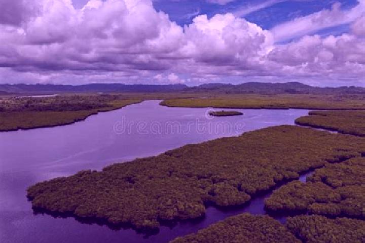escort Mangrove Mountain