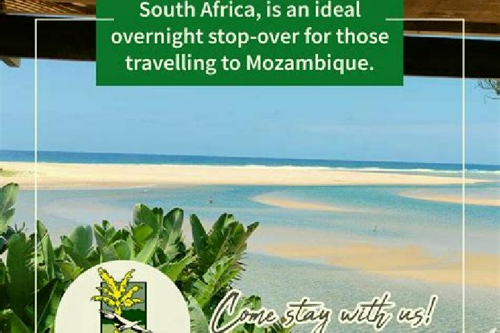 escort Manguzi