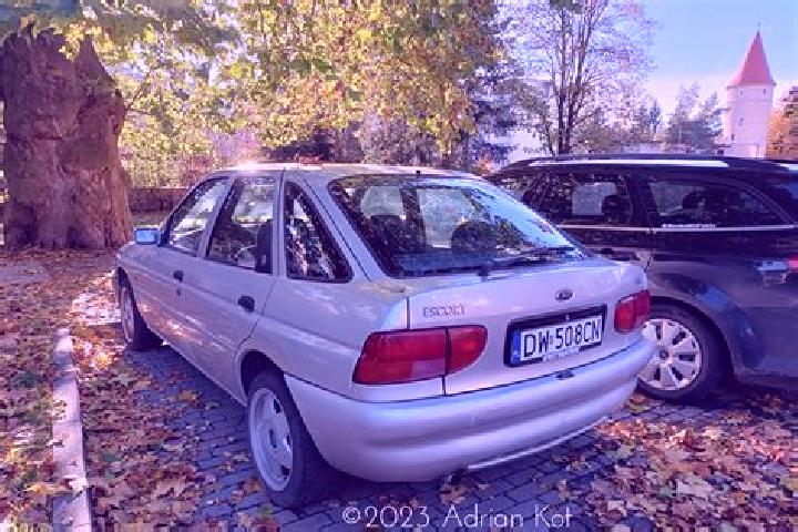 escort Manjimup