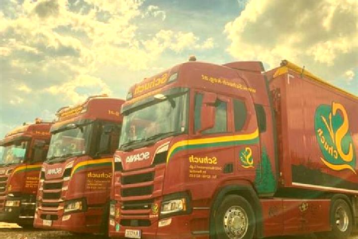escort Mannersdorf am Leithagebirge