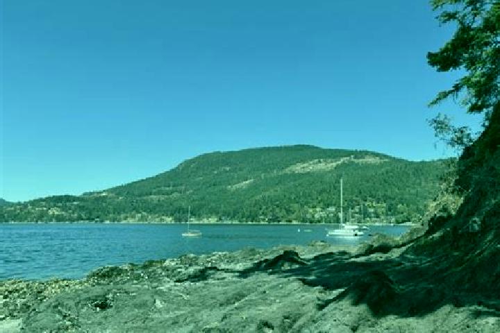 escort Maple Bay