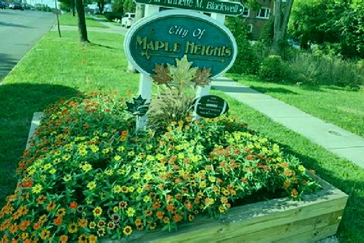 escort Maple Heights