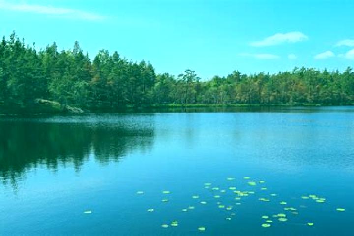 escort Maple Lake
