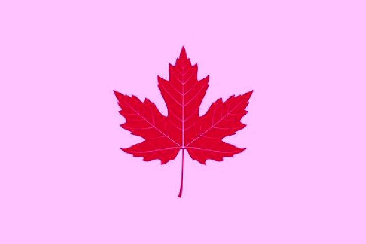 escort Maple Leaf