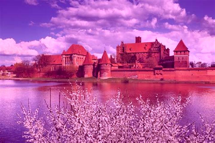 escort Marienburg