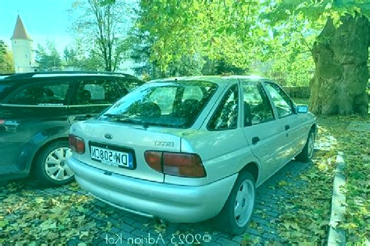 escort Marijampole