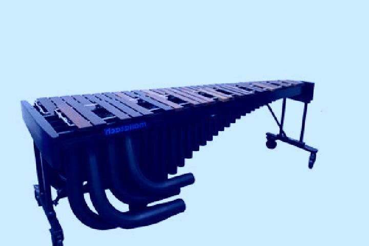 escort Marimba