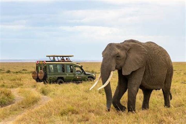 escort Marsabit