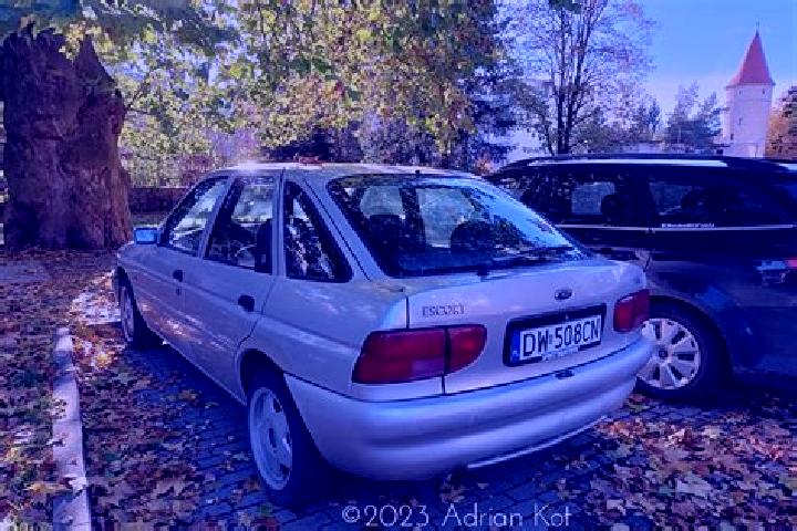escort Martynivske