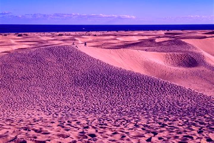 escort Maspalomas