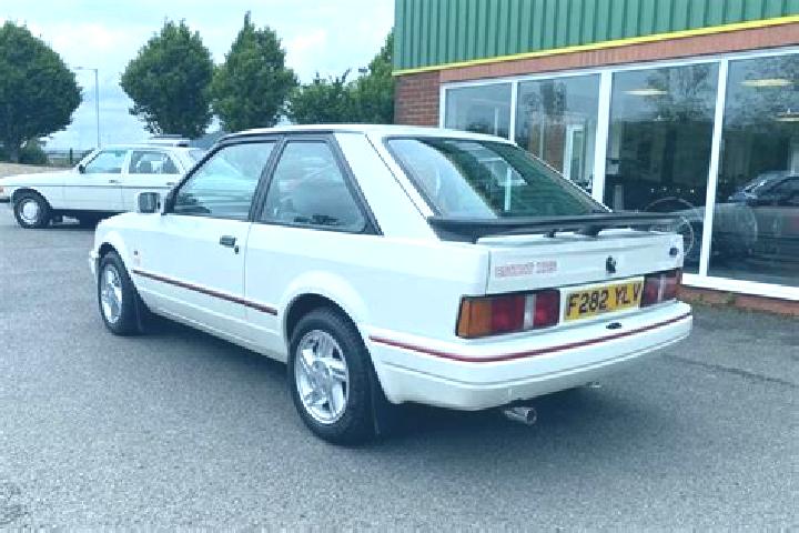 escort Mastacan