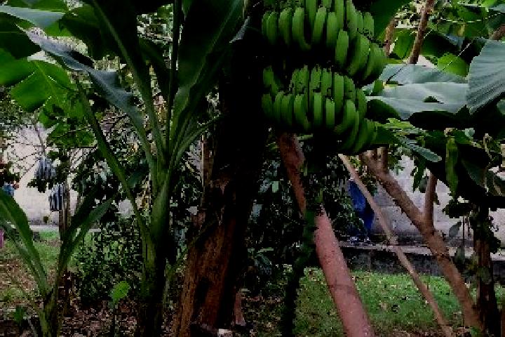 escort Mata de Platano