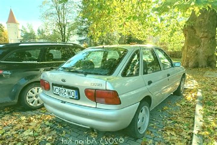 escort Matendonk