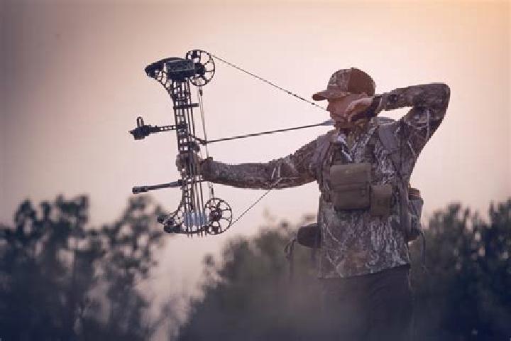 escort Mathews