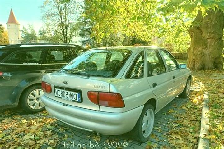 escort Matuu
