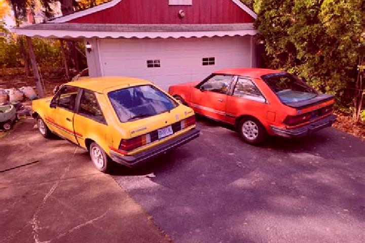 escort Matuzici