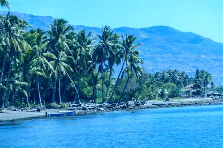 escort Maumere