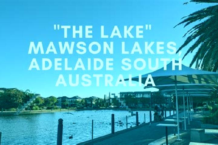 escort Mawson Lakes