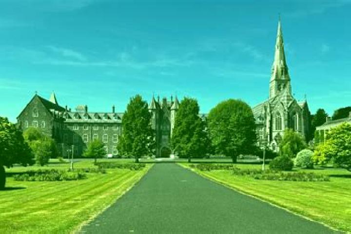 escort Maynooth