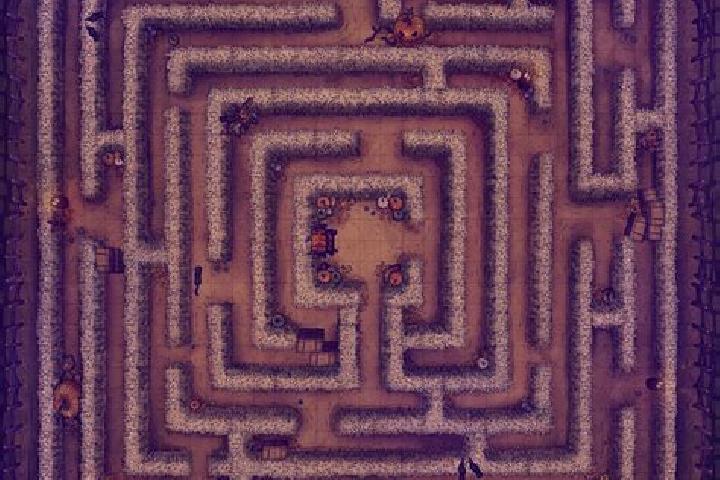escort Maze