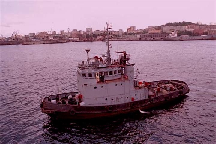 escort McClusky