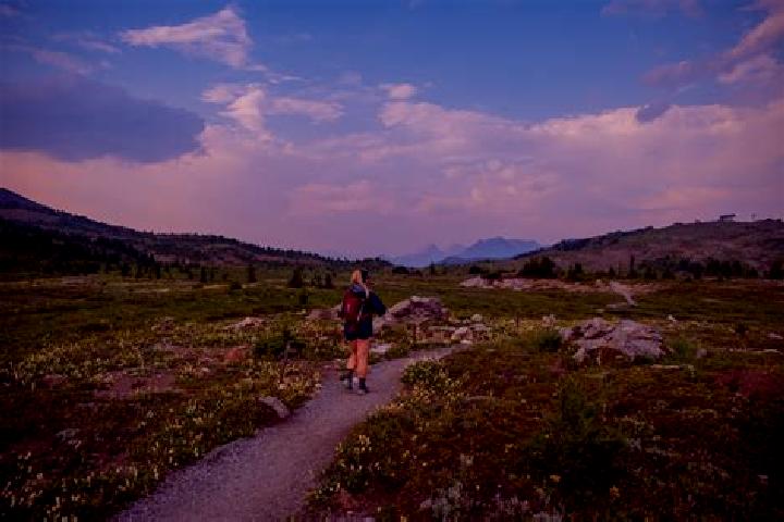 escort Meadow Vista