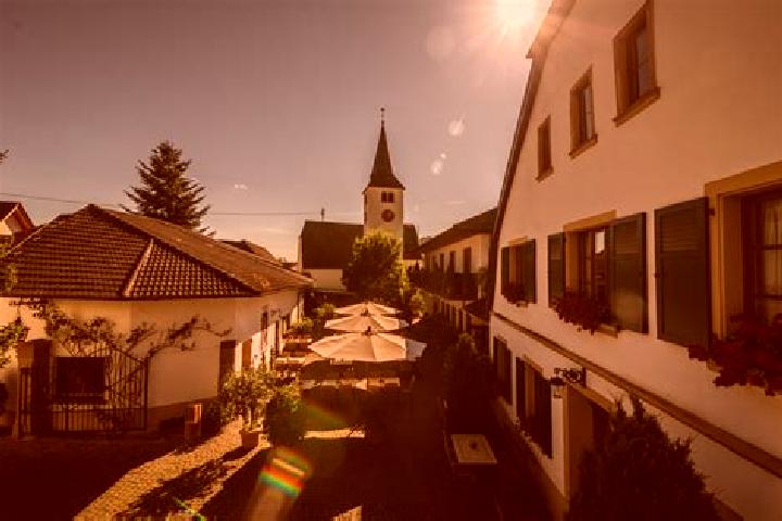 escort Meddersheim