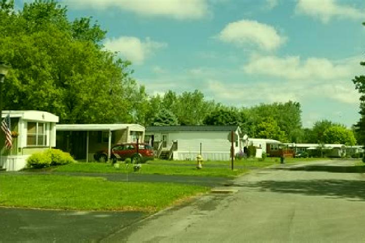 escort Medina Estates