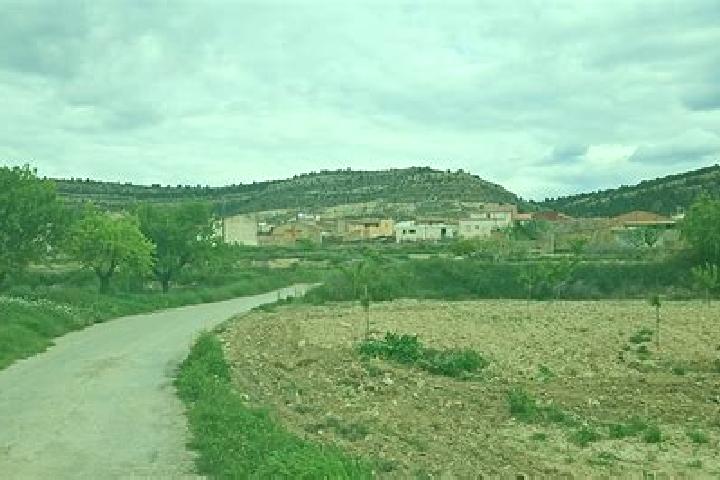 escort Melgar de Arriba
