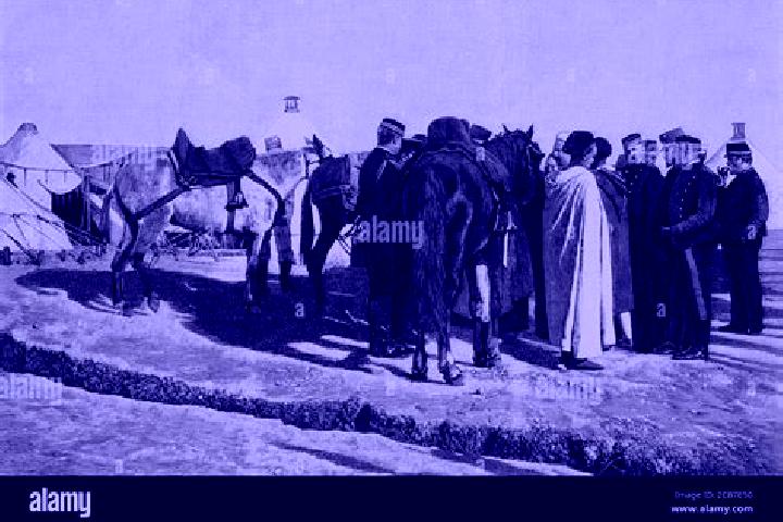 escort Melilla