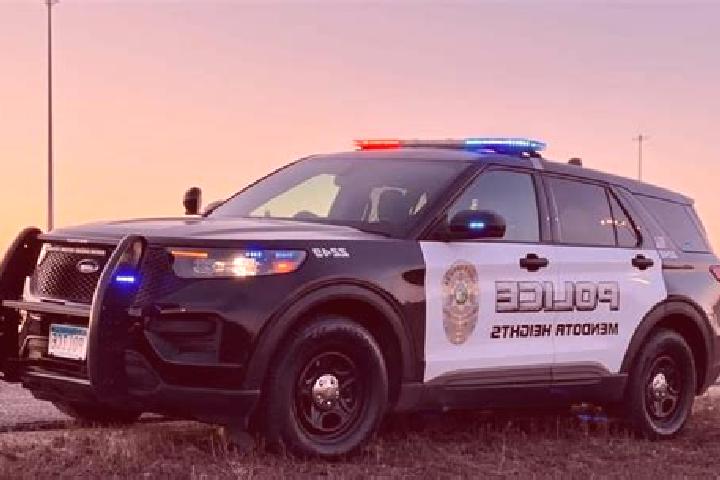 escort Mendota Heights