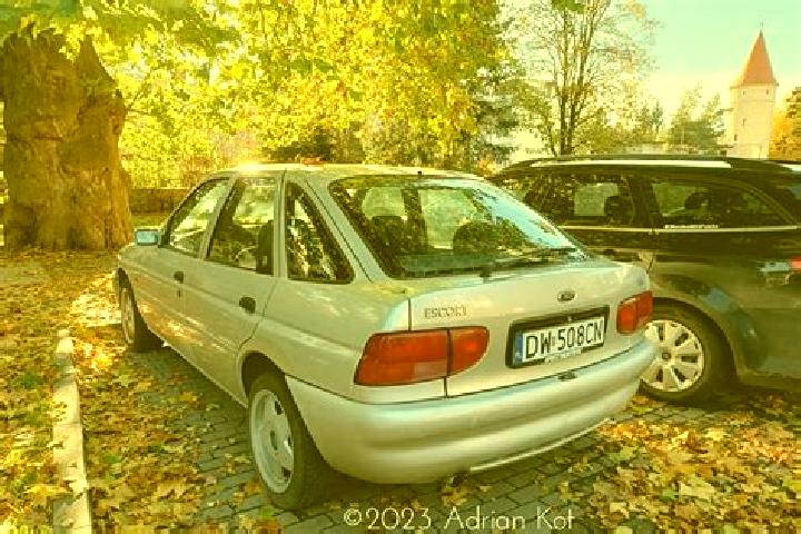 escort Mertzwiller