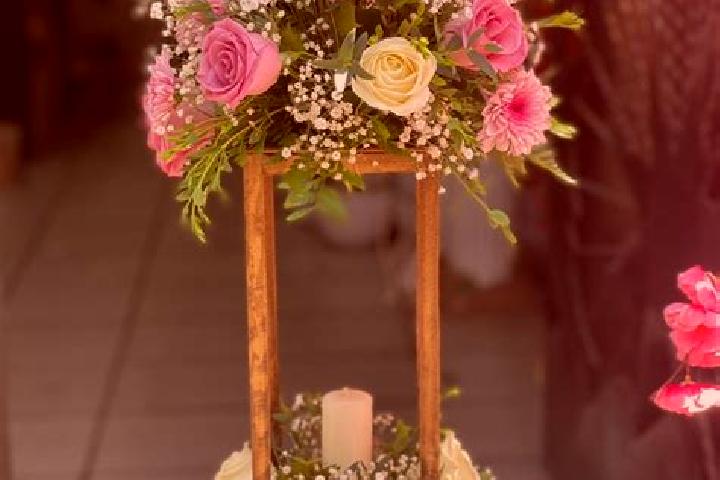 escort Mesa de Flores