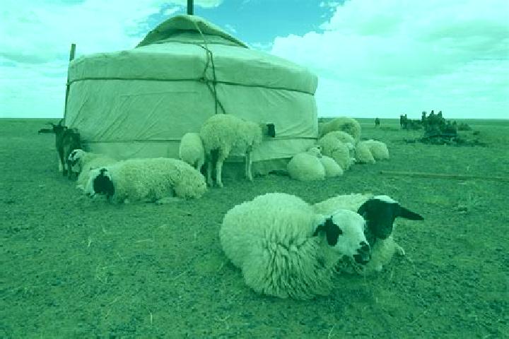 escort Mesker-Yurt