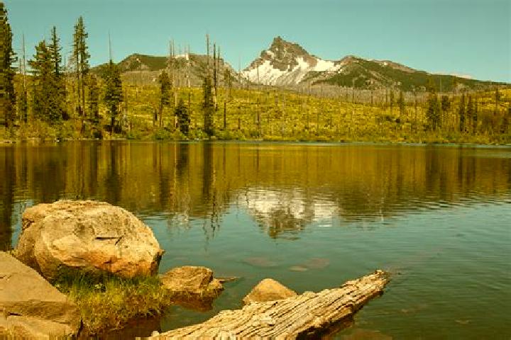escort Metolius