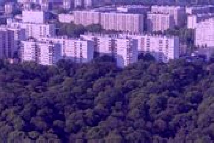 escort Meudon-la-Foret