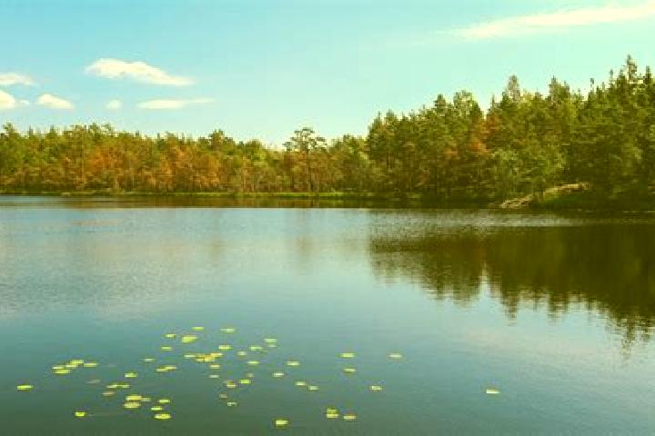 escort Meyers Lake
