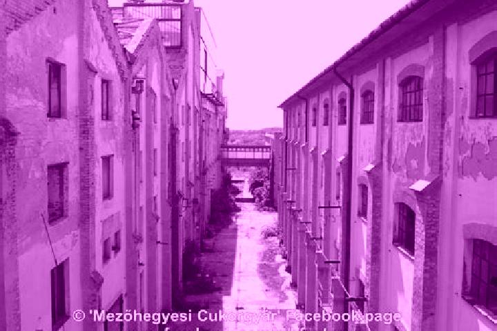 escort Mezohegyes
