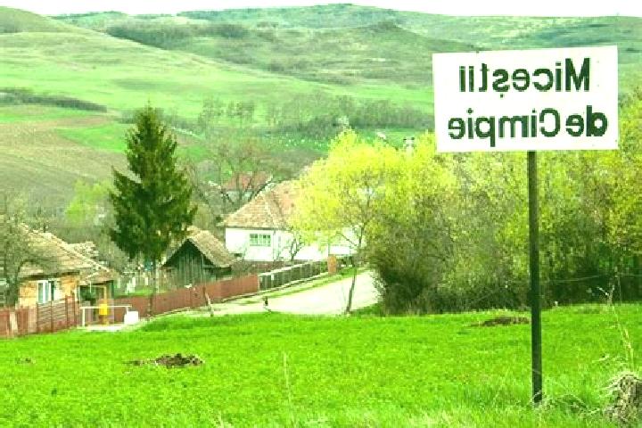 escort Micestii de Campie