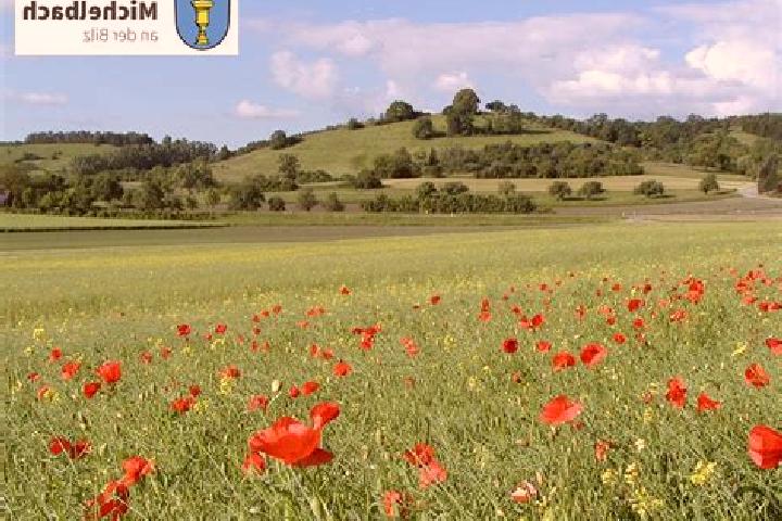 escort Michelbach an der Bilz