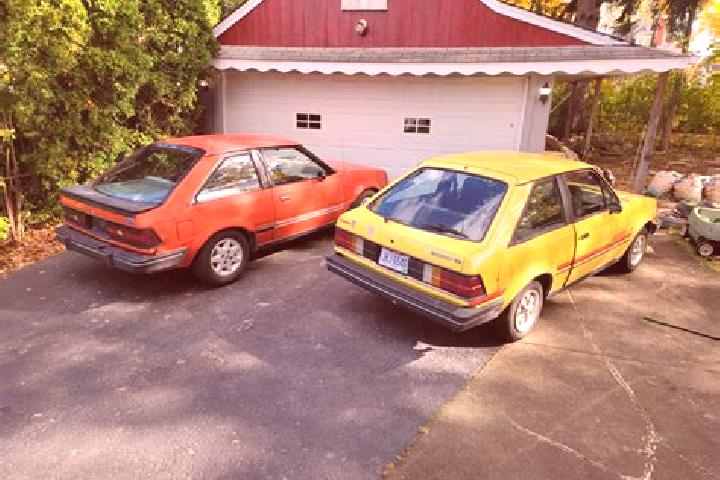escort Middleburgh
