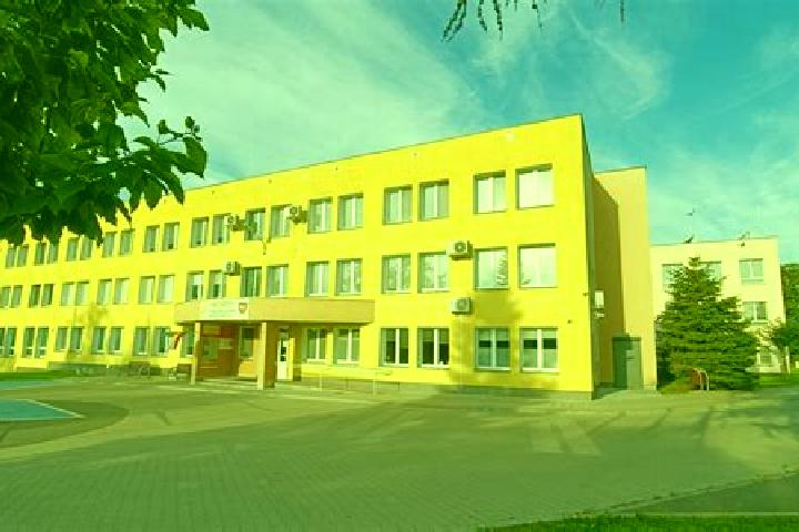 escort Mieleszyn