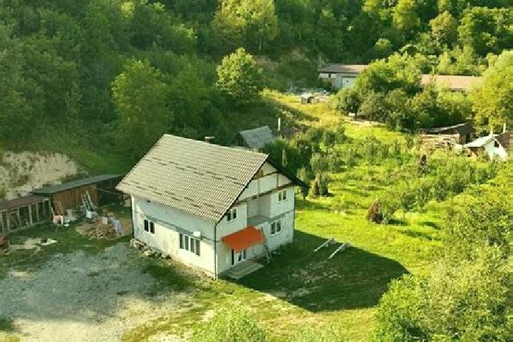 escort Mijlocenii Bargaului