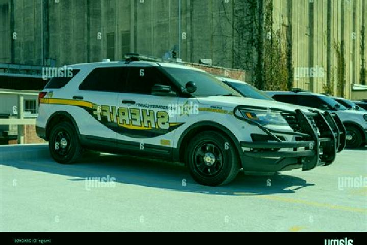 escort Millry